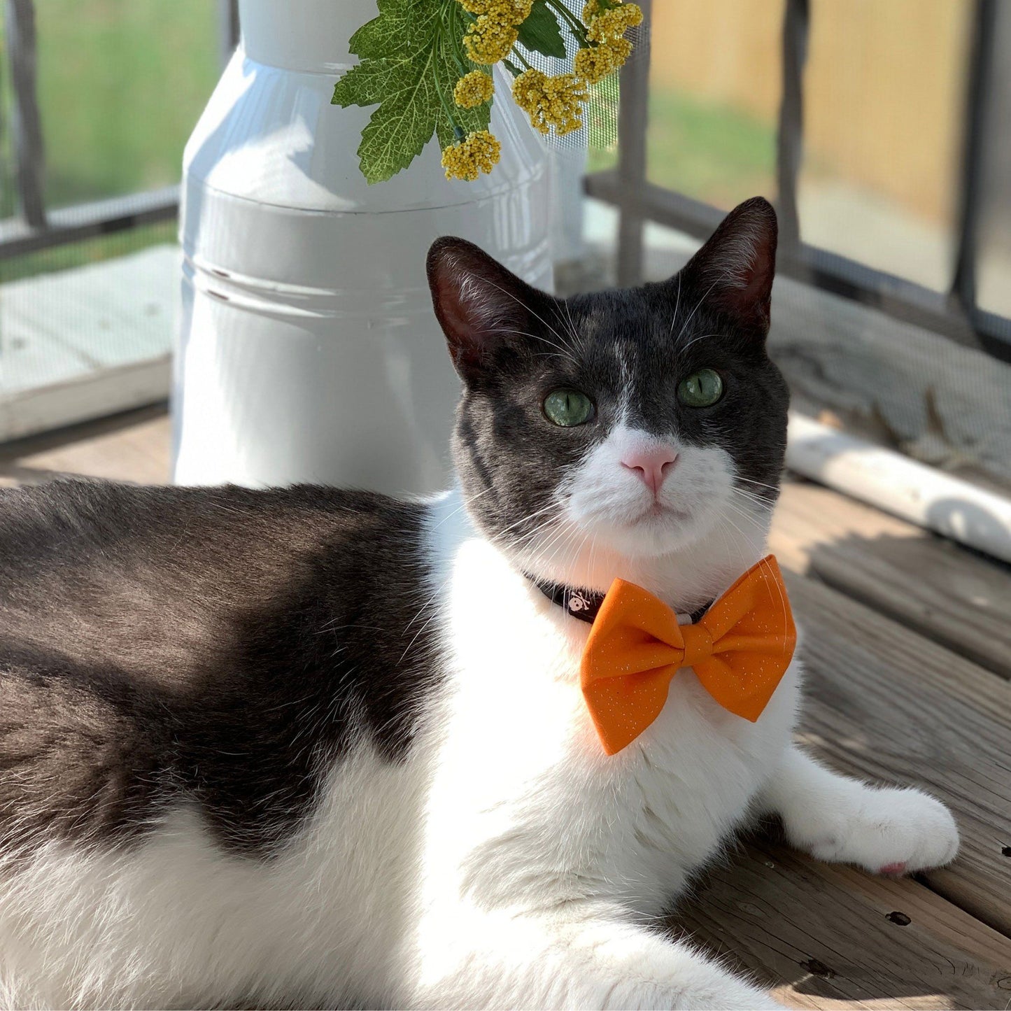 Pet Bow Tie - Orange Sparkle