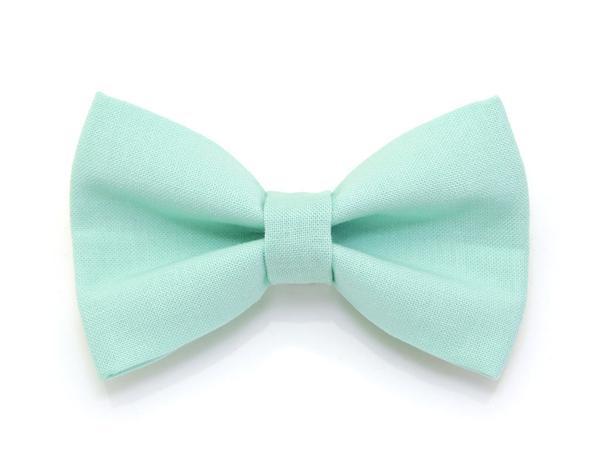 Cat Collar and Bow Tie Set - Mint