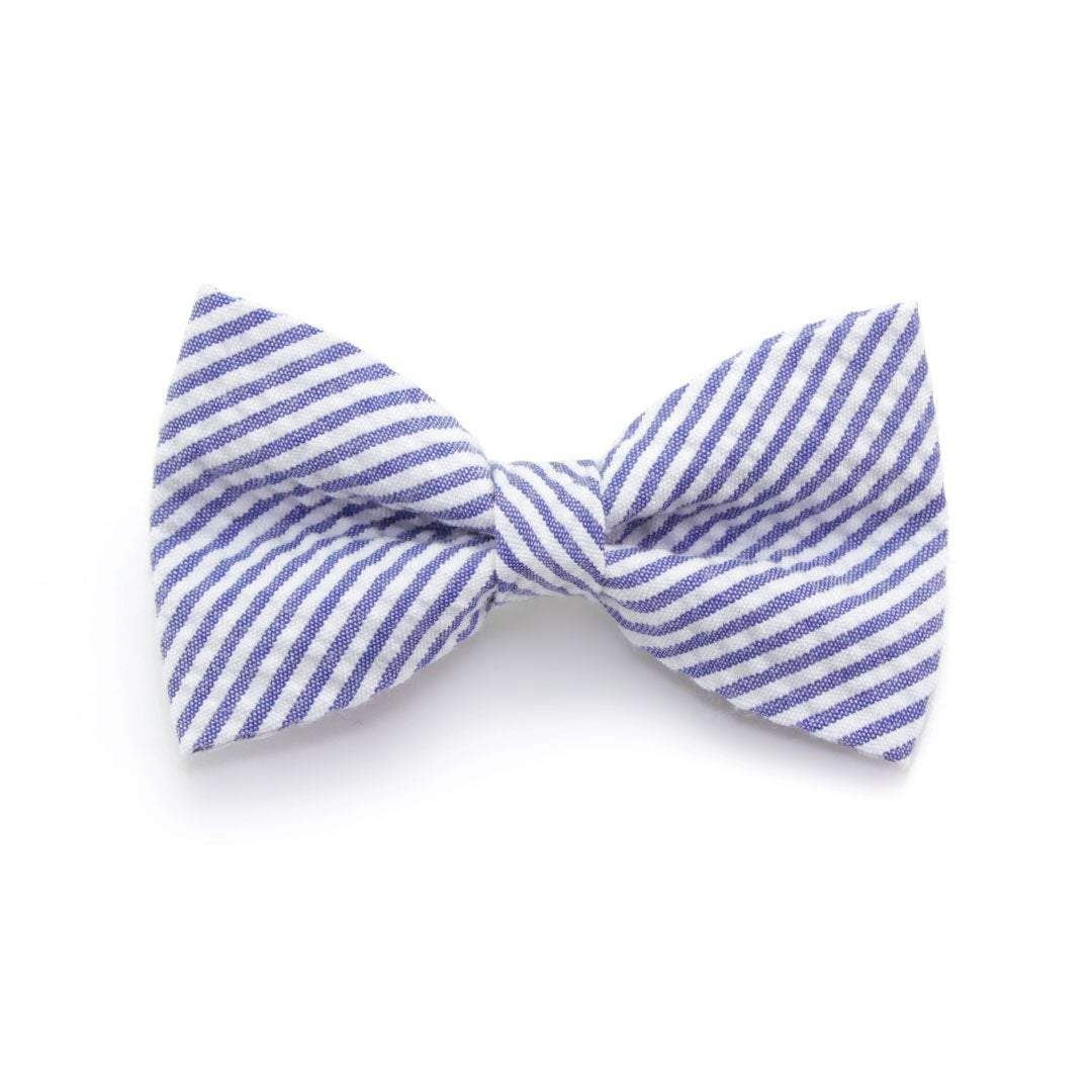 Cat Collar Set - Newport