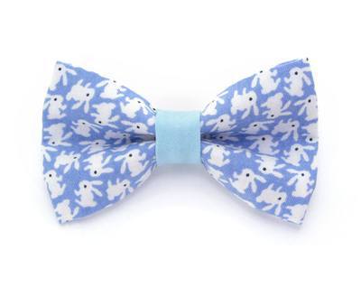 Pet Collar - Hoppy Hour Bunny