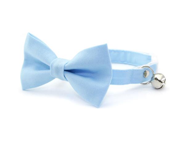 Pet Collar - Baby Blue