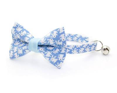 Pet Collar - Hoppy Hour Bunny